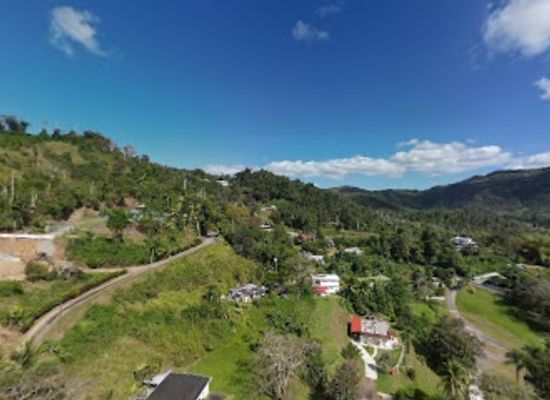 puerto-rico/caguas/nightclub/alturas-de-borinquen