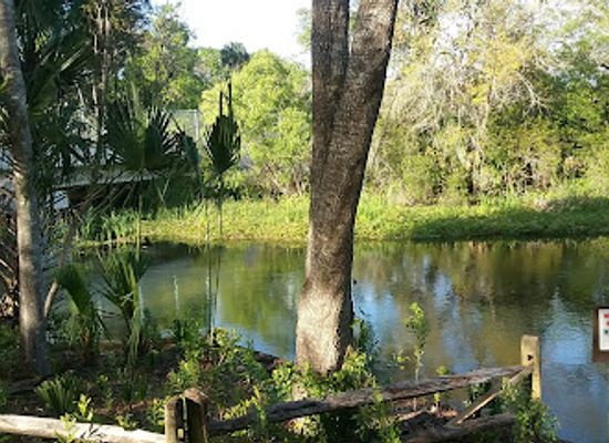 florida/juniper-springs-recreation-area/nightclub/juniper-run-take-out