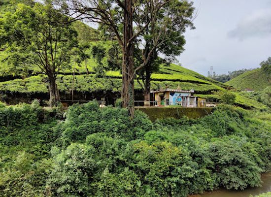 india/munnar/nightclub/temple