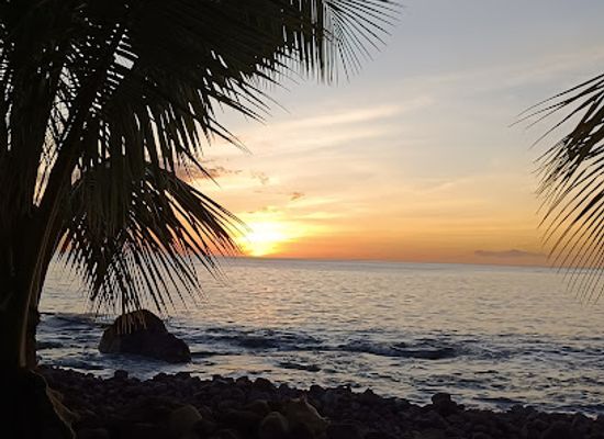 dominica/saint-luke/nightclub/donny-s-watersports-snorkel-and-dive-center