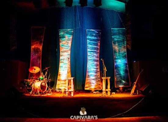 brazil/pantanal/nightclub/capivara-s-pub
