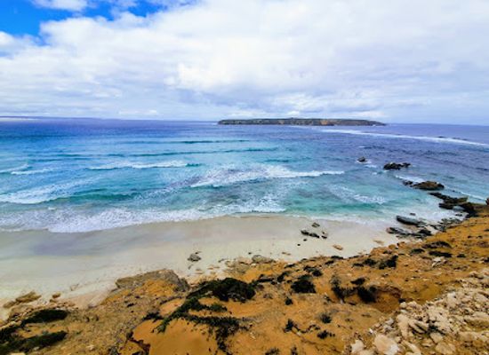 australia/eyre-peninsula/nightclub/sharkys