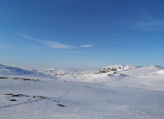 norway/rauland/nightclub/telemark-husky-tour