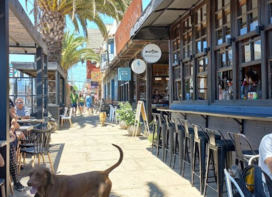 chile/pichilemu/nightclub/pulpo-bar-restaurant