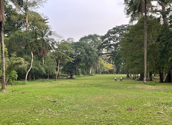 nigeria/south-west/nightclub/iita-golf-course