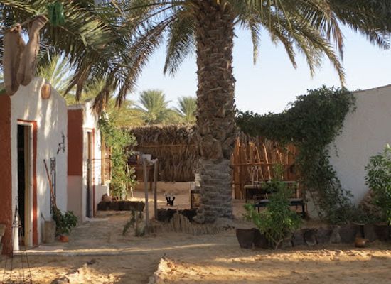 tunisia/douz/nightclub/maison-proche-de-desert