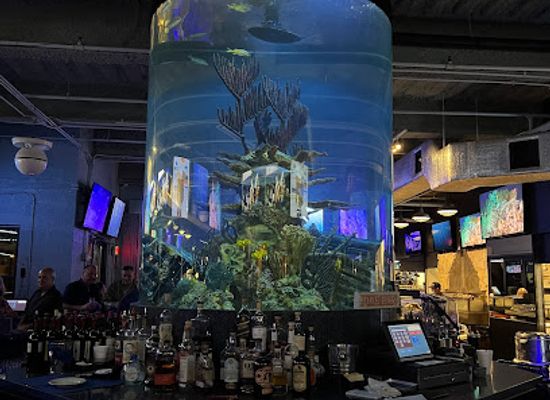 florida/jupiter/nightclub/dive-bar-restaurant
