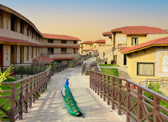 india/ranthambore/nightclub/aamaghati-wildlife-resort-ranthambore