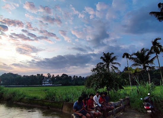 india/kerala-backwaters/nightclub/winners
