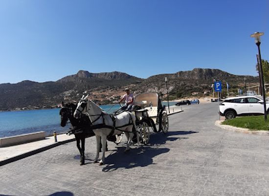 greece/monemvasia/nightclub/wedding-carriages-nektarios-vlahakis