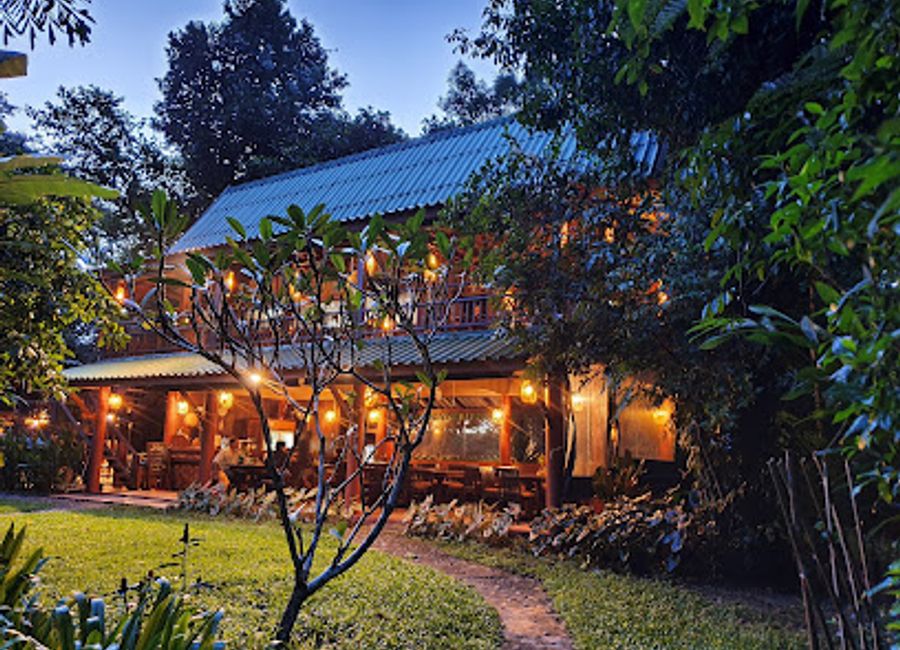 Experience the tranquility of nature at Our Jungle House, your gateway to adventure in Khao Sok National Park, Thailand.