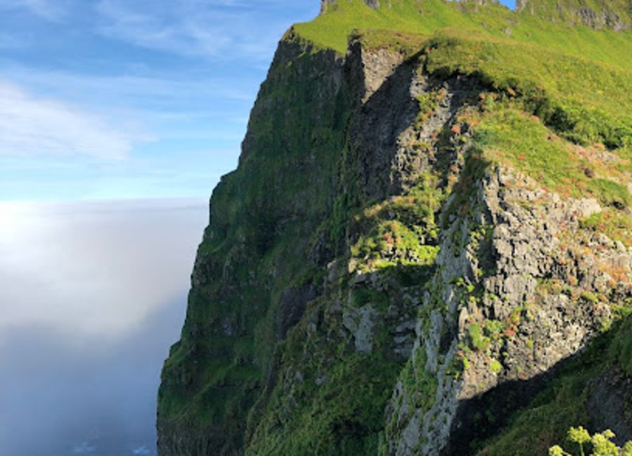 Discover the untouched wilderness of Hornstrandir Nature Reserve, where breathtaking landscapes and unique wildlife await your exploration in Iceland.