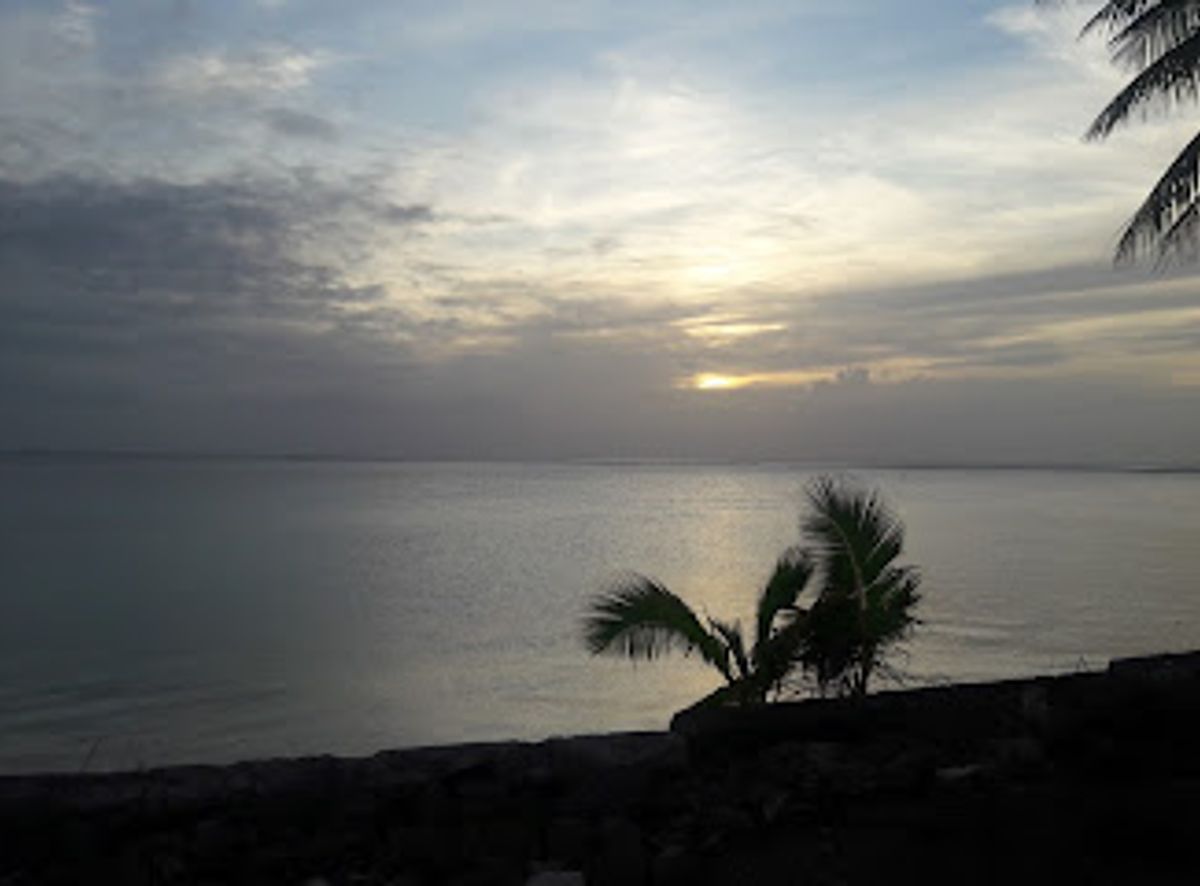 Background