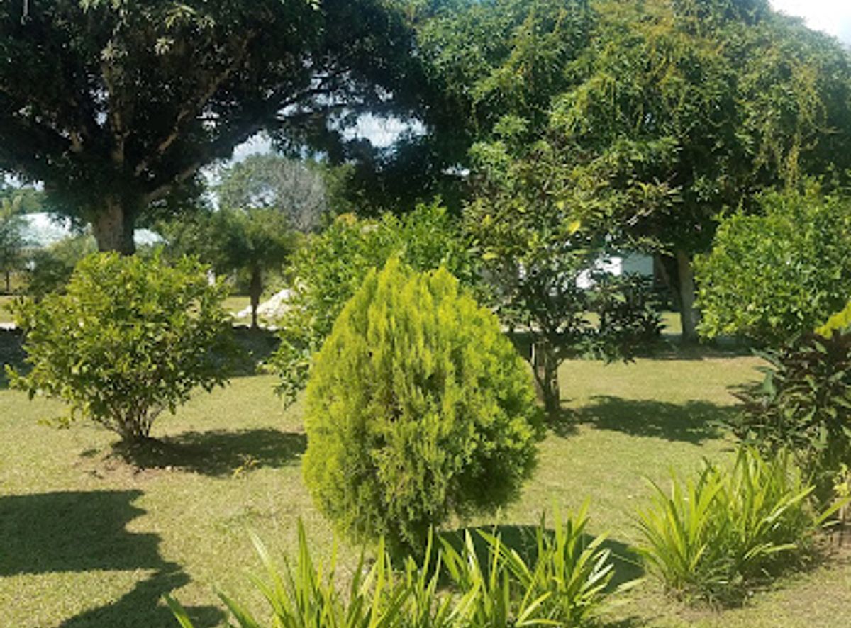 Background