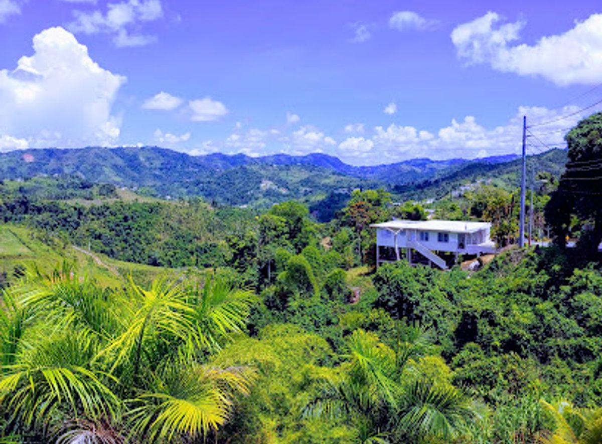 Background