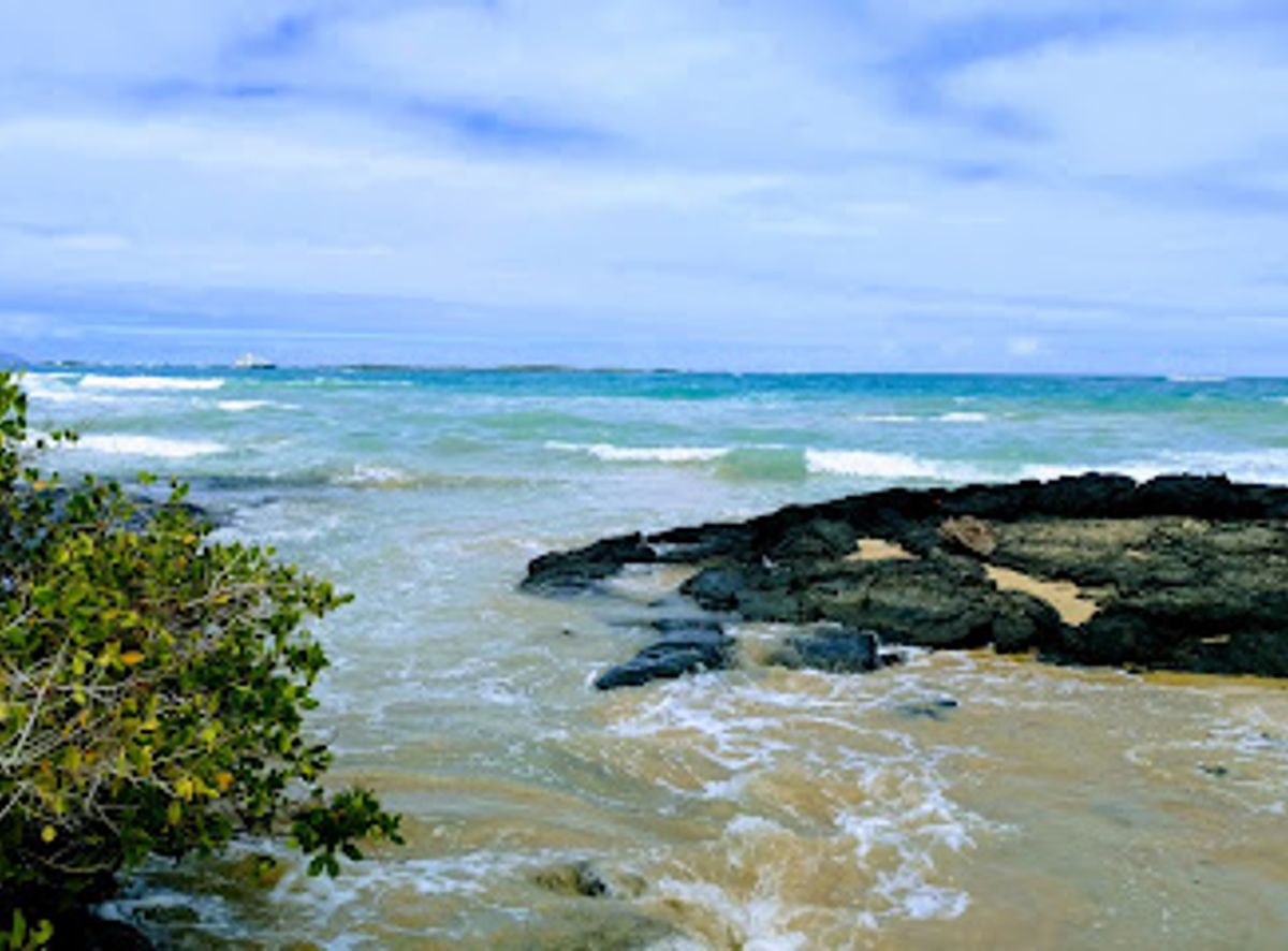 Background