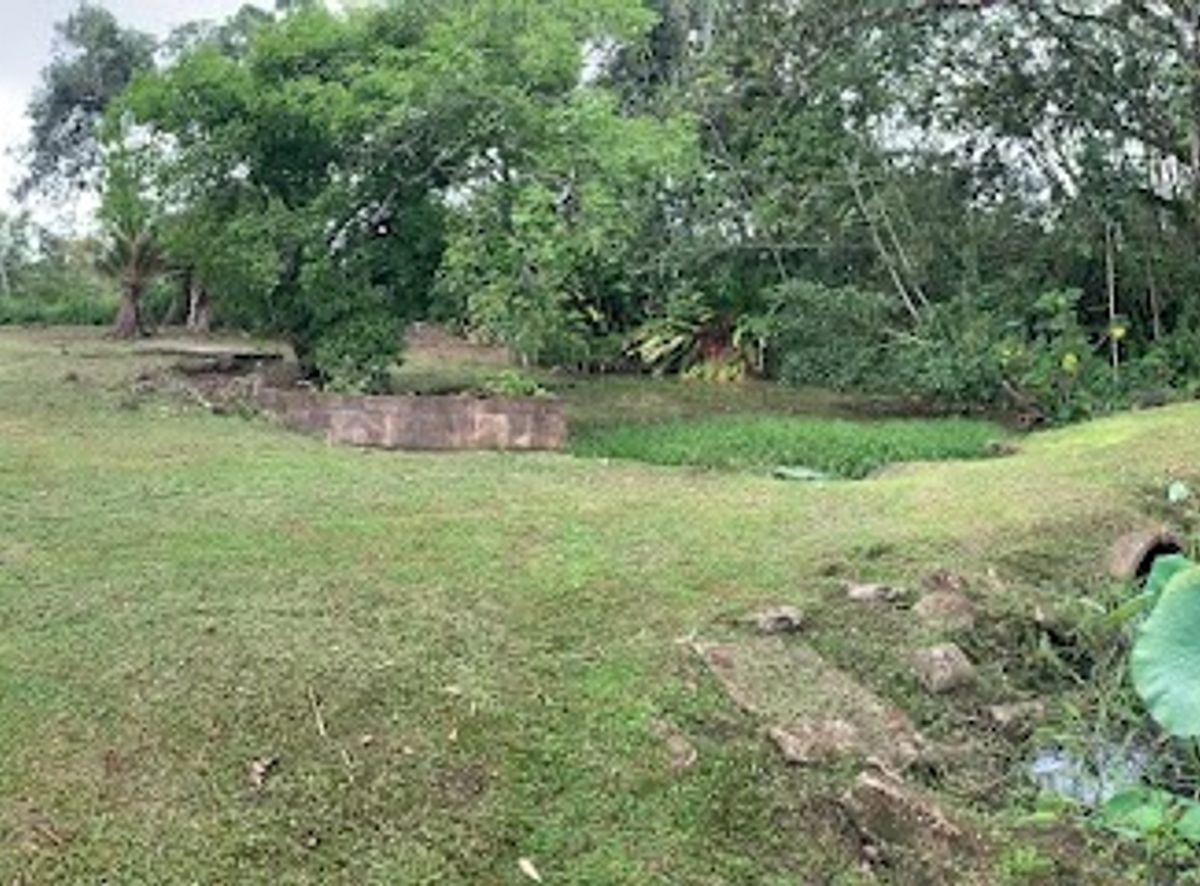 Background