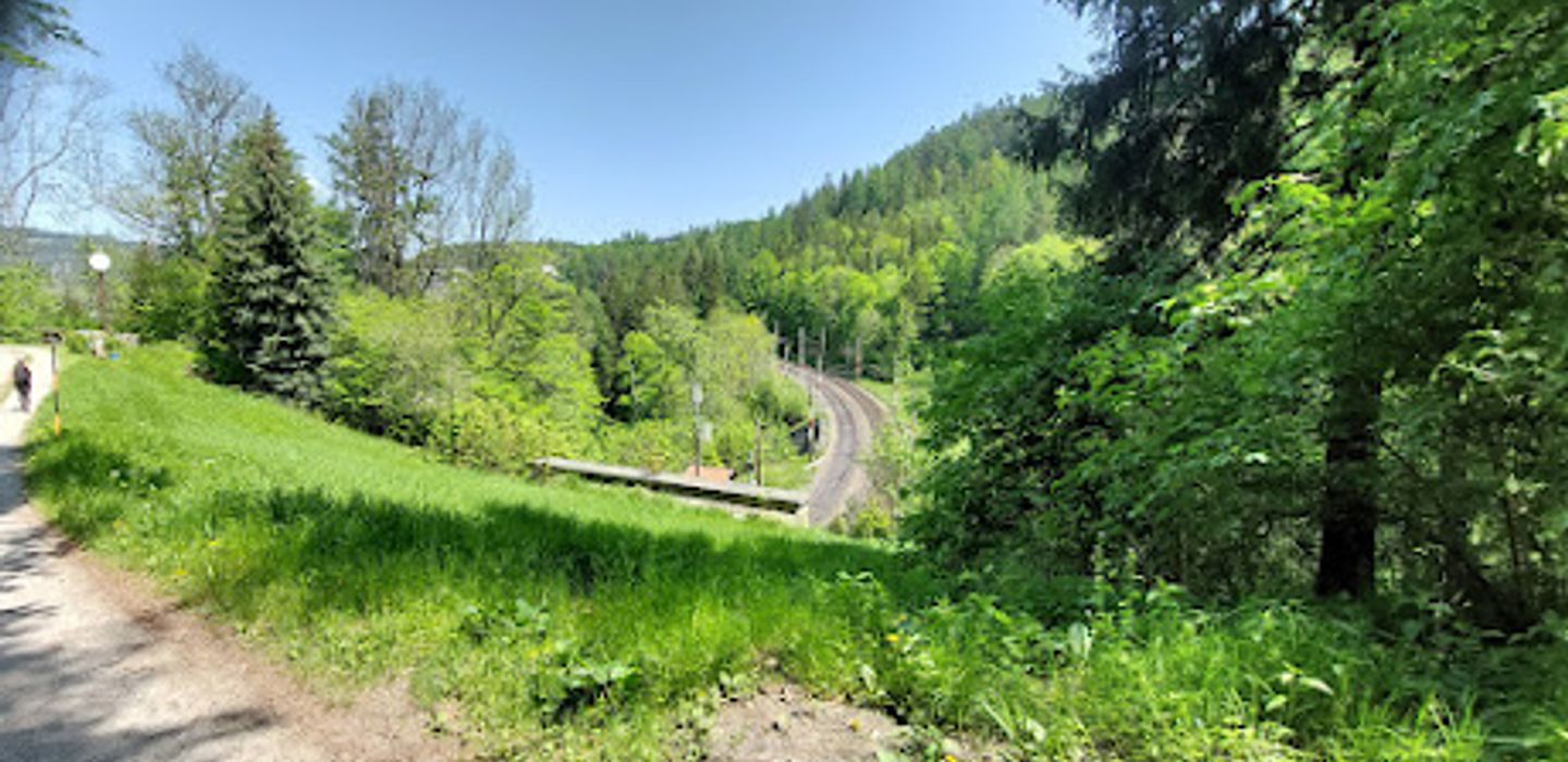 Hinterholz 9