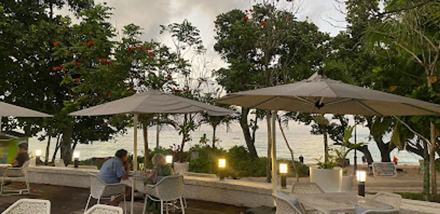 Gecko Bar