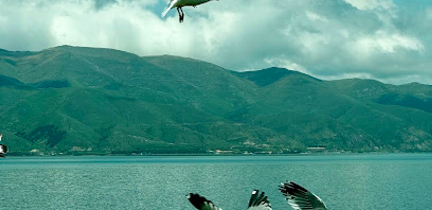 Background
