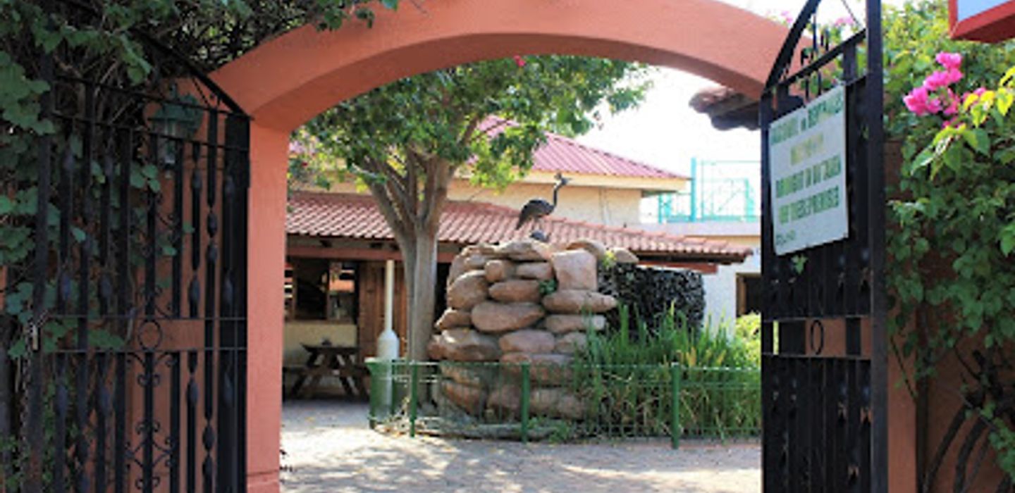 Syringa Lodge