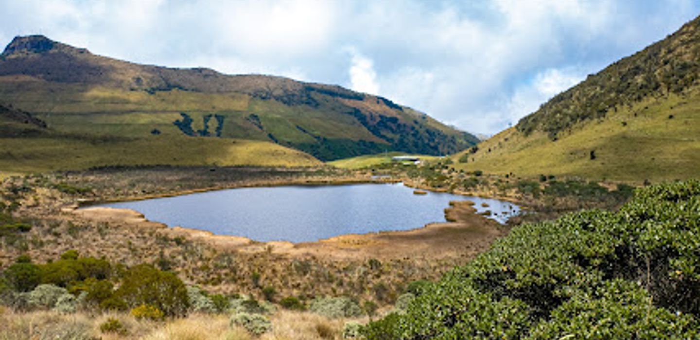 Background
