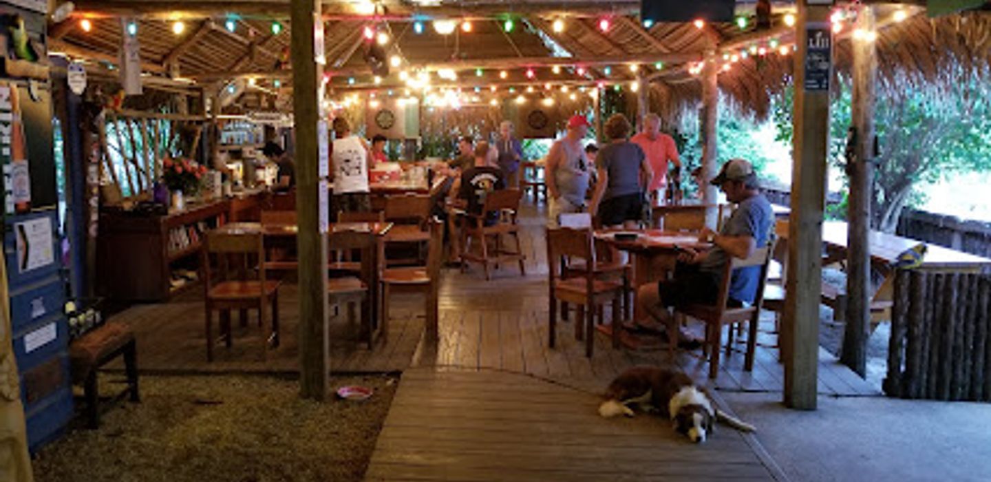 Pickled Parrot