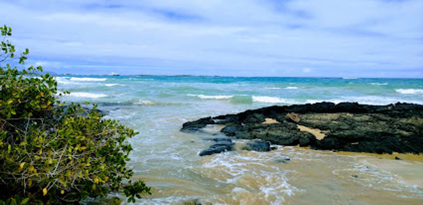 Background