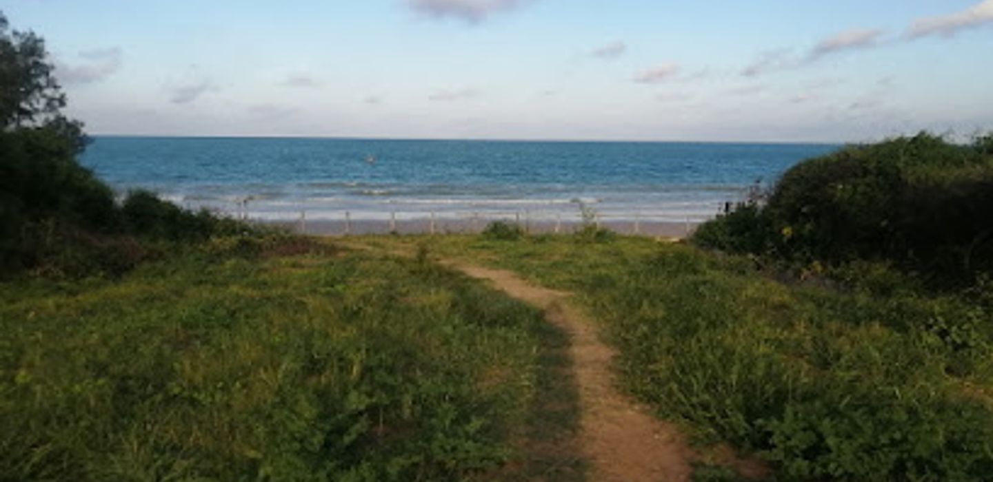 Background