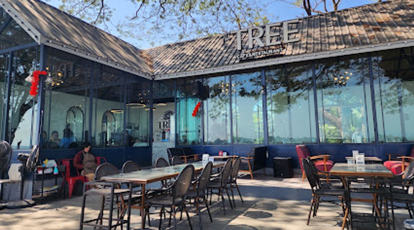The TREE Cafe&Restaurant