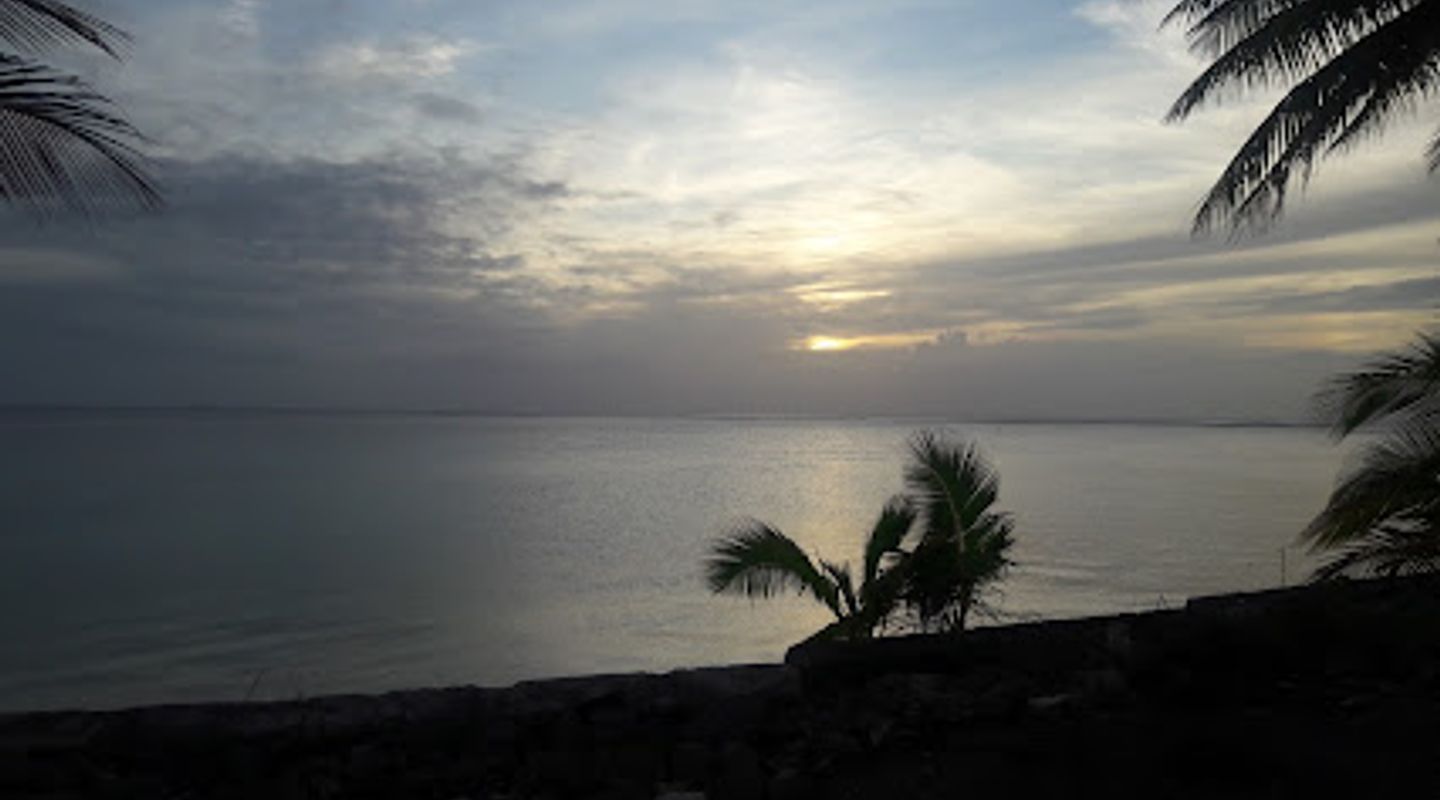 Background