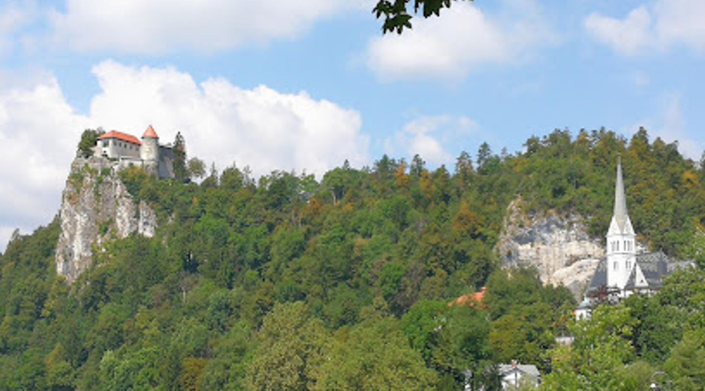 Background