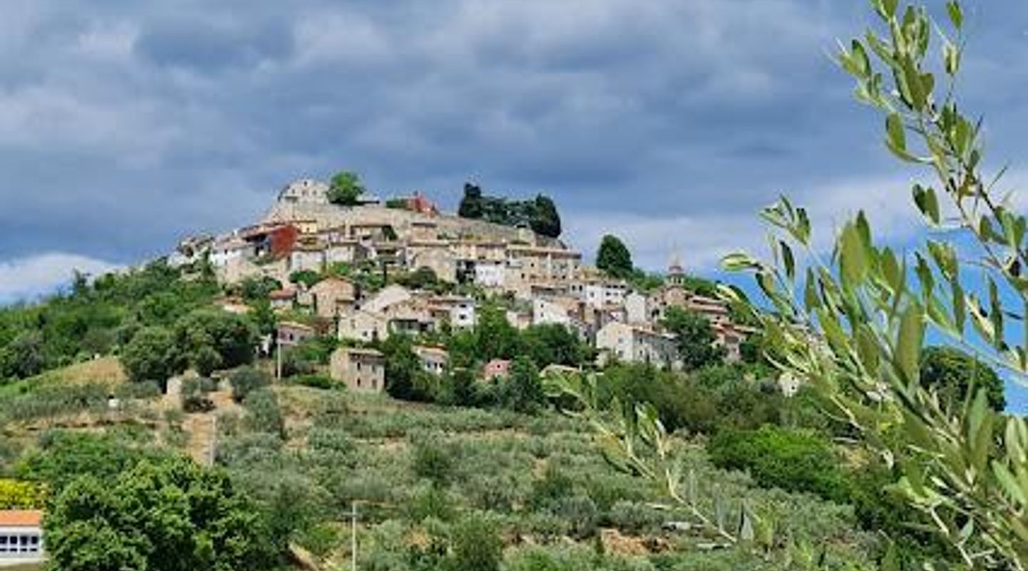 Miro Tartufi