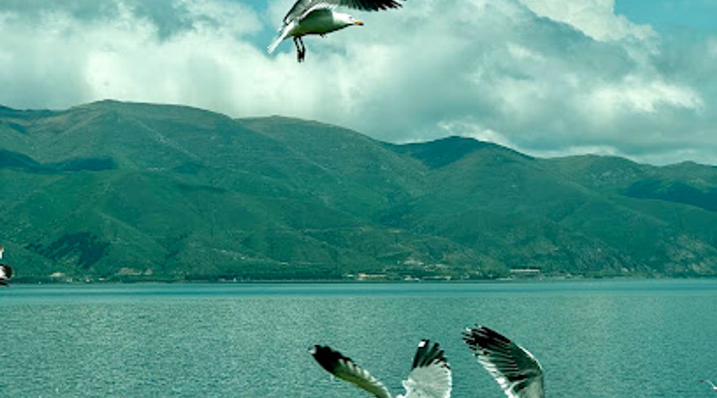 Background