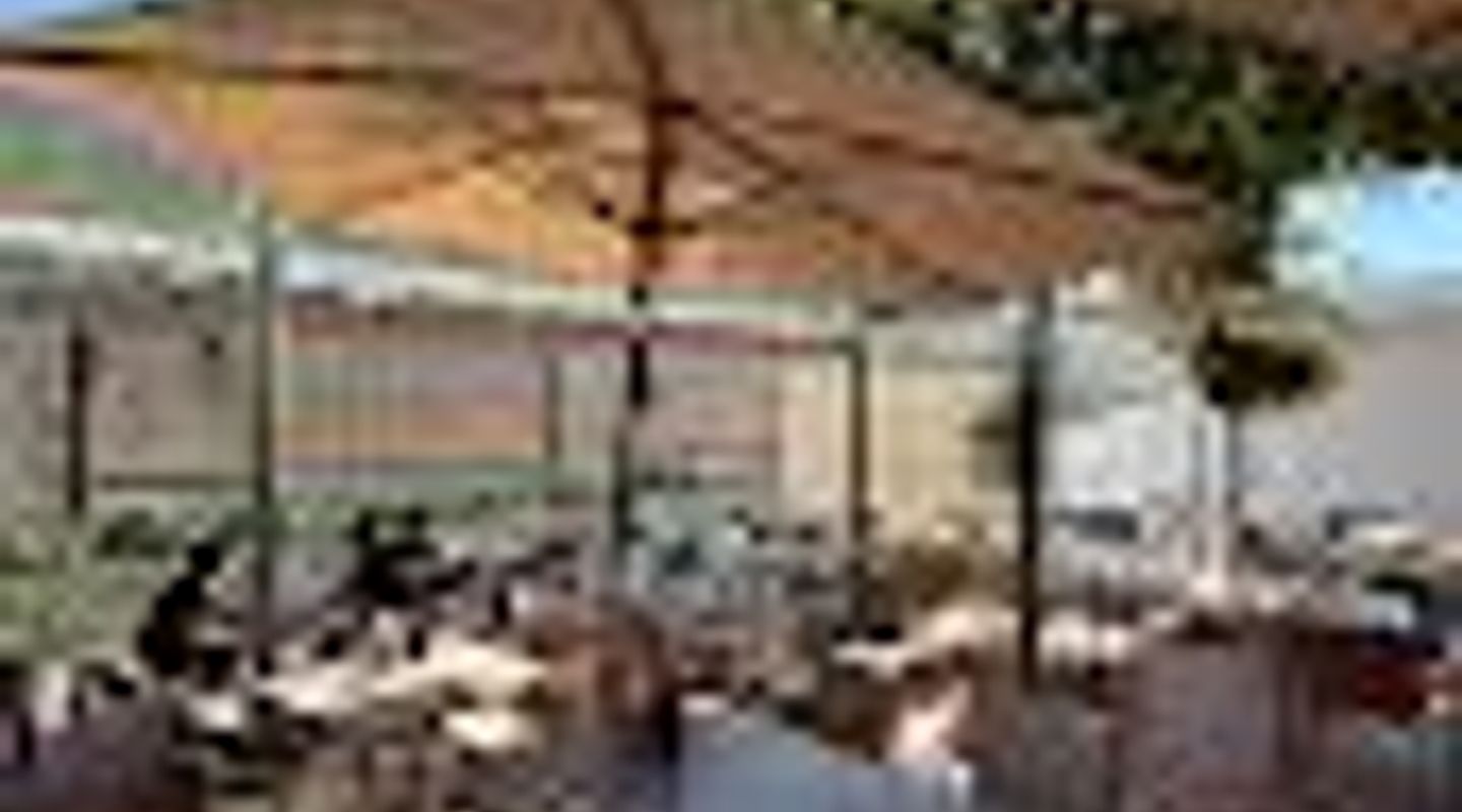 Tim's Terrace