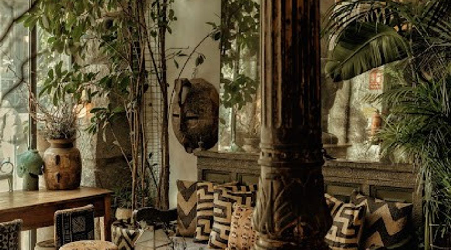 Ficus Bar