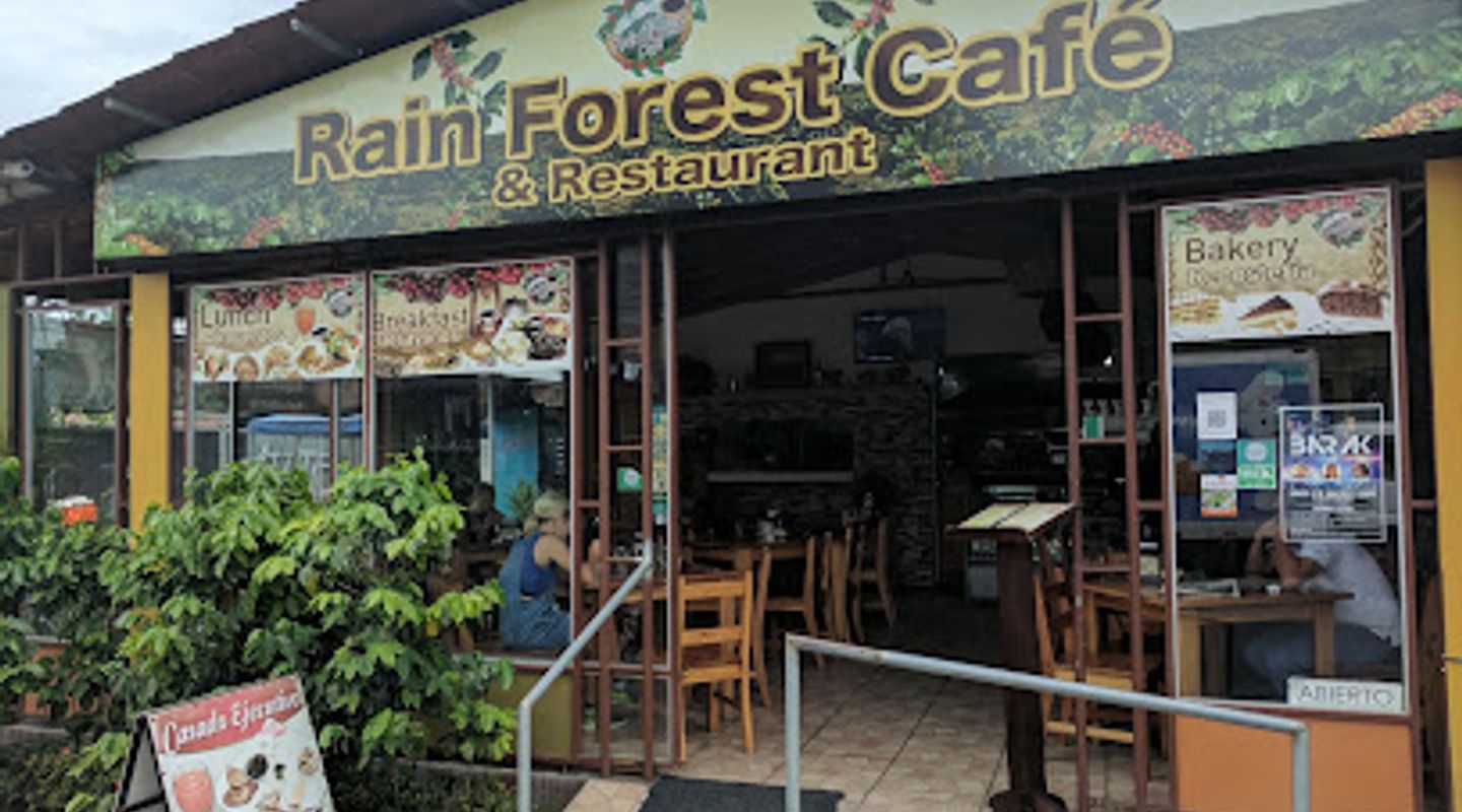 Rain Forest