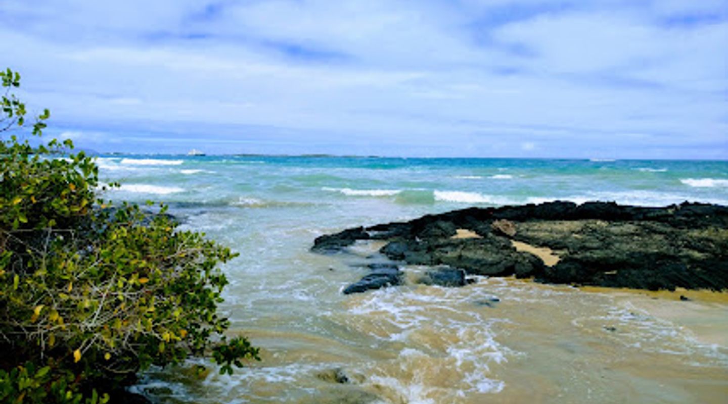 Background