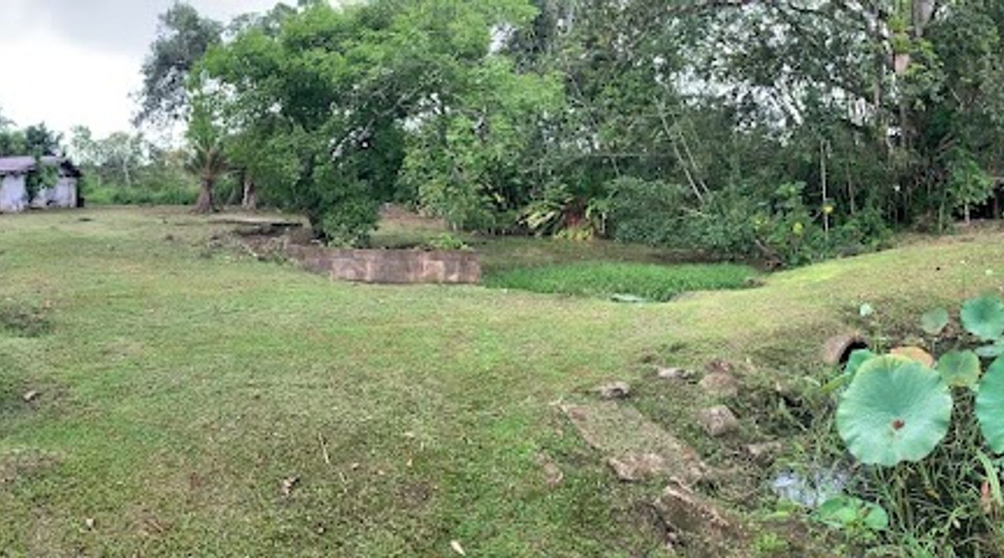 Background