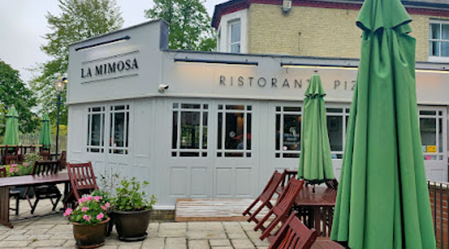La Mimosa