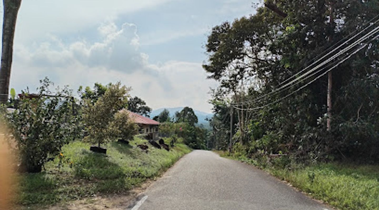 Background