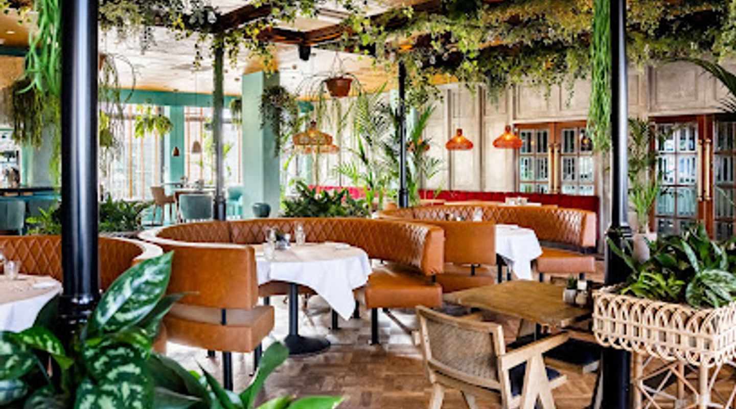Background