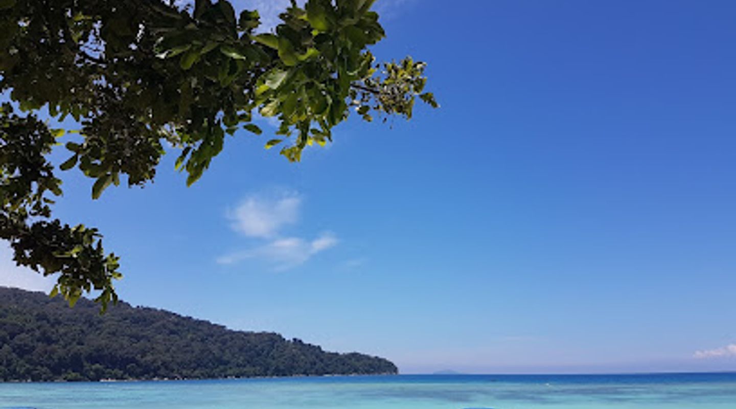 Background