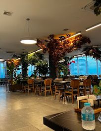 Attraction