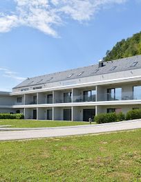 Attraction