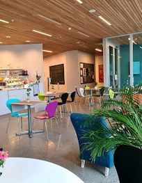 Attraction