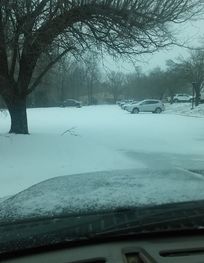 Attraction