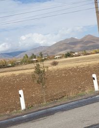 Attraction