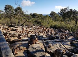 Reeds Lookout