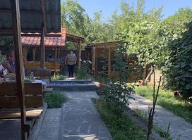 Wine Garden